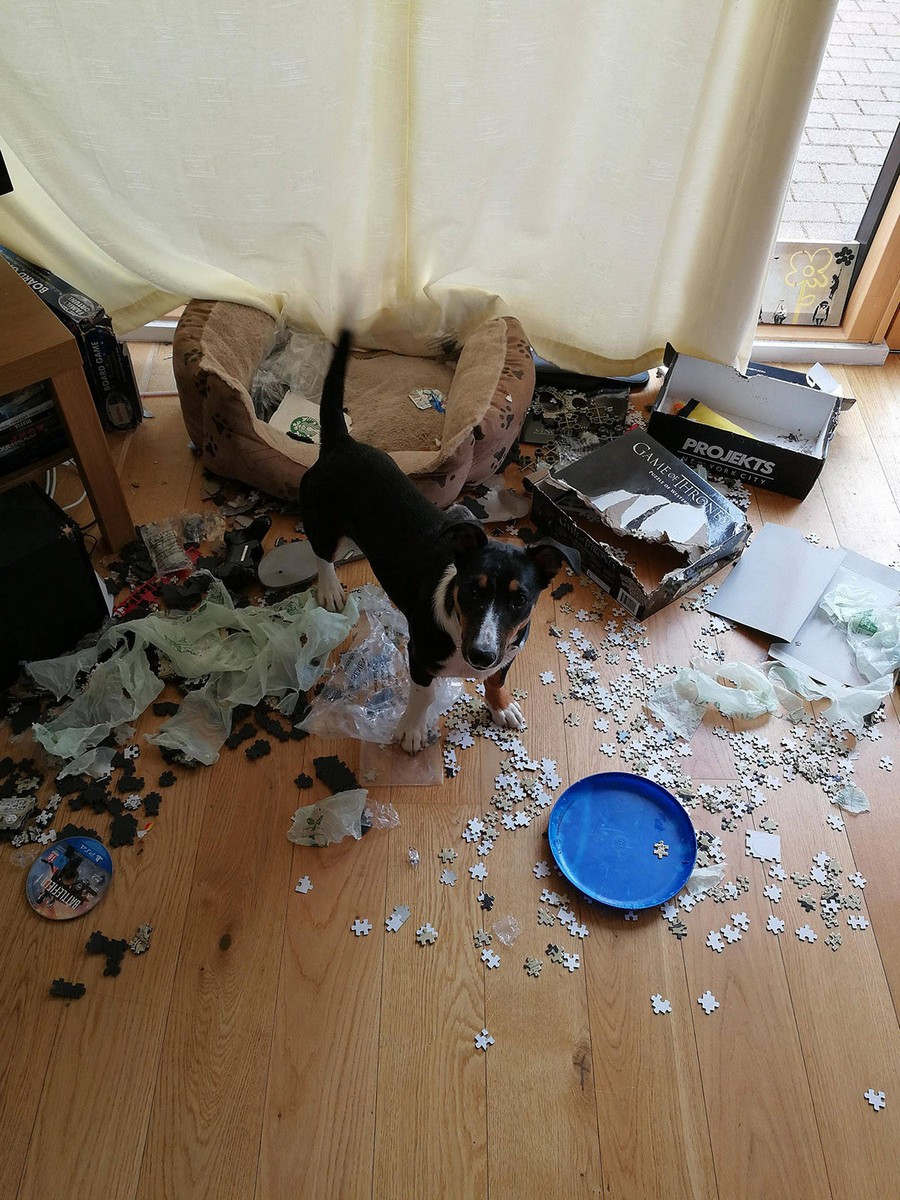 Daily Pictures. Part 1 (64 pics)