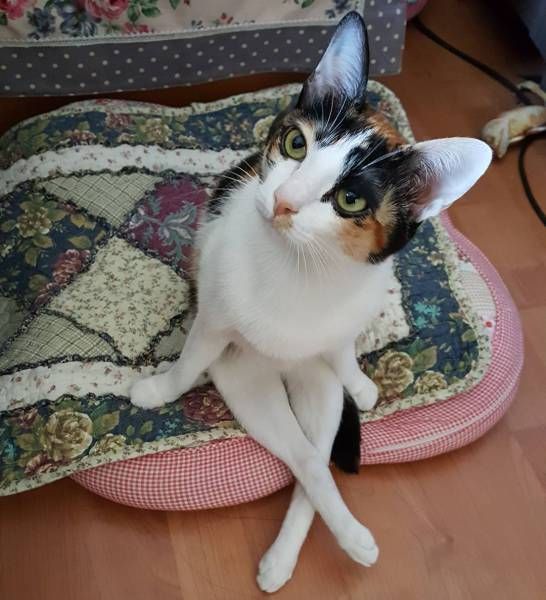 Daily Pictures. Part 1 (64 pics)