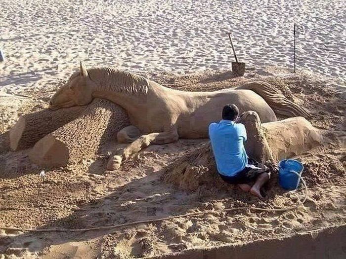 Daily Pictures. Part 2 (63 pics)