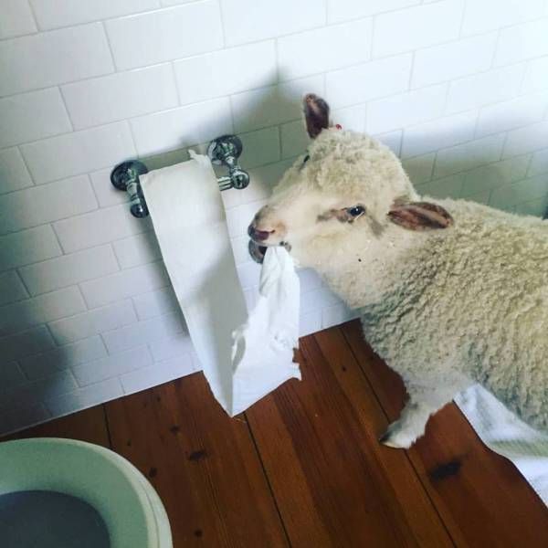 Daily Pictures. Part 1 (64 pics)