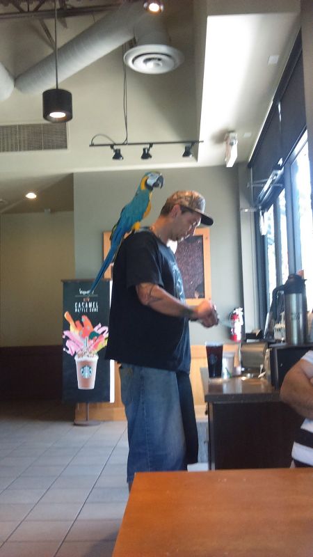 Daily Pictures. Part 2 (63 pics)