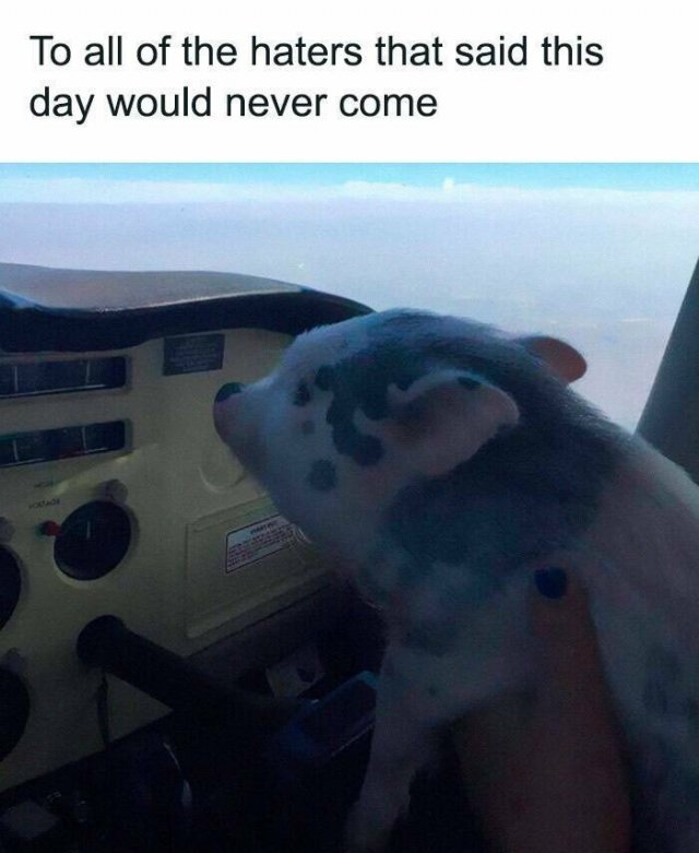 Daily Pictures. Part 2 (63 pics)