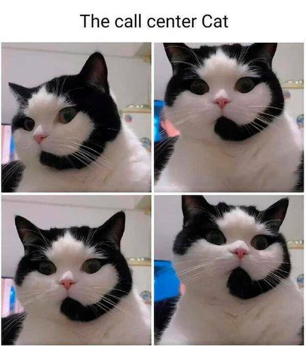 Daily Pictures. Part 2 (63 pics)