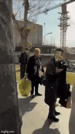 Acid GIFs, November 3 (25 gifs)