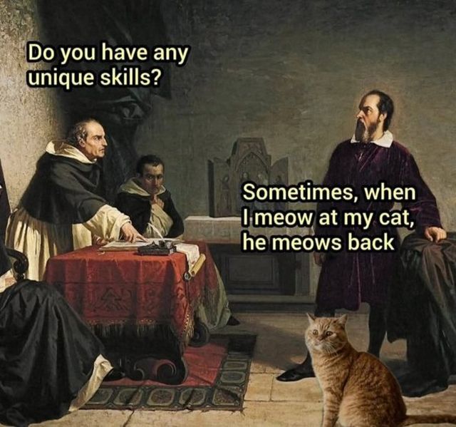 Photos And Memes For Cats Lovers (28 pics)