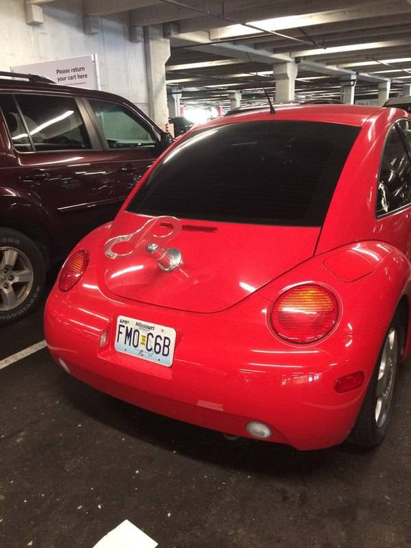 Daily Pictures. Part 1 (64 pics)