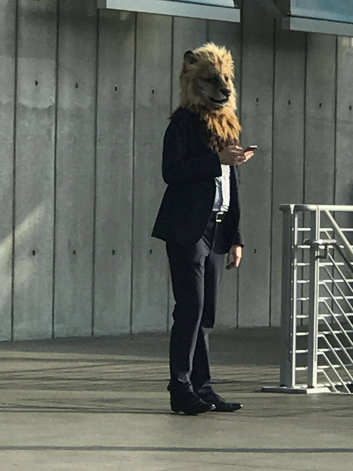 Daily Pictures. Part 1 (64 pics)