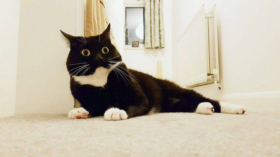 Daily Pictures. Part 1 (64 pics)