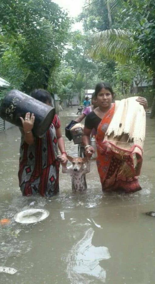 Daily Pictures. Part 1 (64 pics)