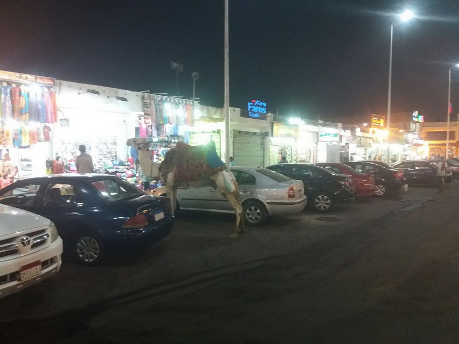 Daily Pictures. Part 1 (64 pics)