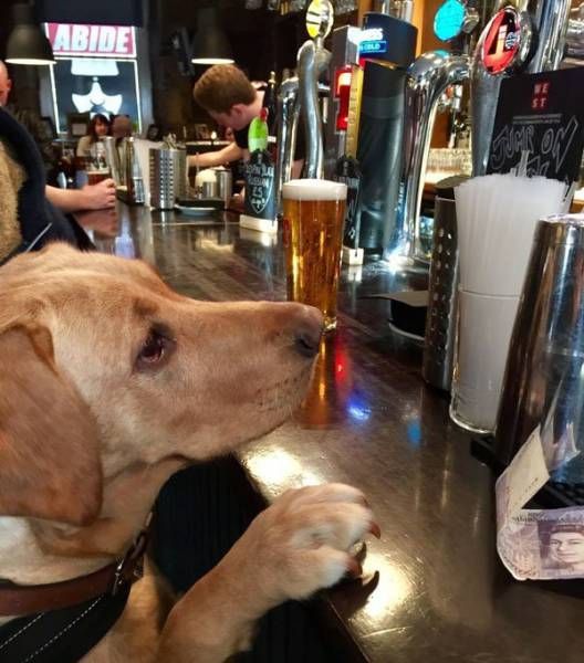 Daily Pictures. Part 1 (64 pics)