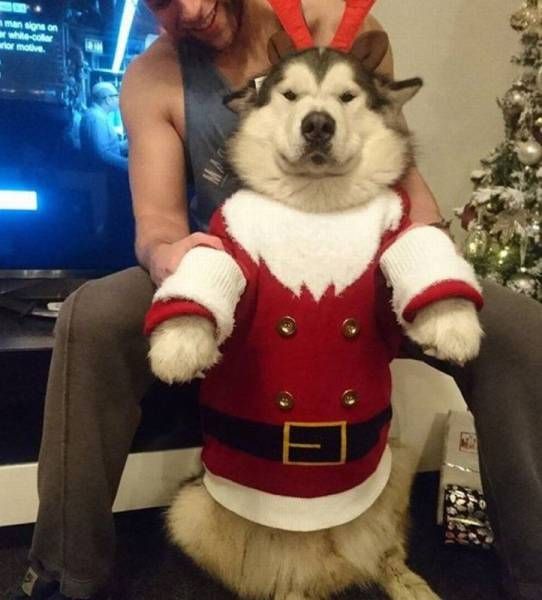 Daily Pictures. Part 1 (64 pics)