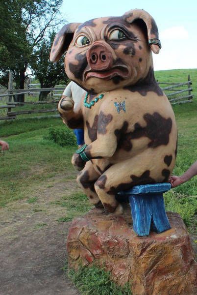 Daily Pictures. Part 1 (64 pics)