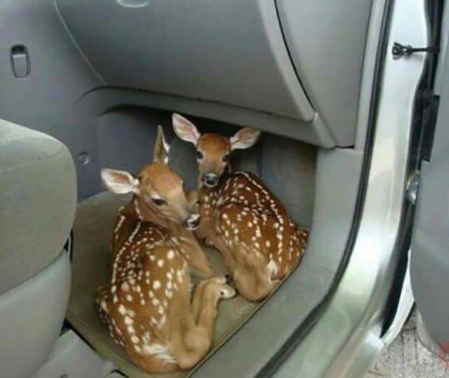 Daily Pictures. Part 1 (64 pics)