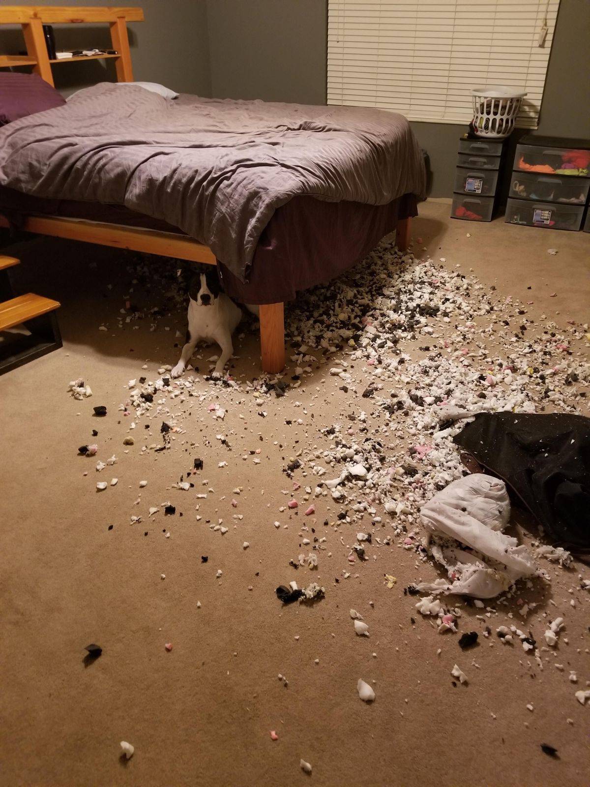 Daily Pictures. Part 1 (64 pics)