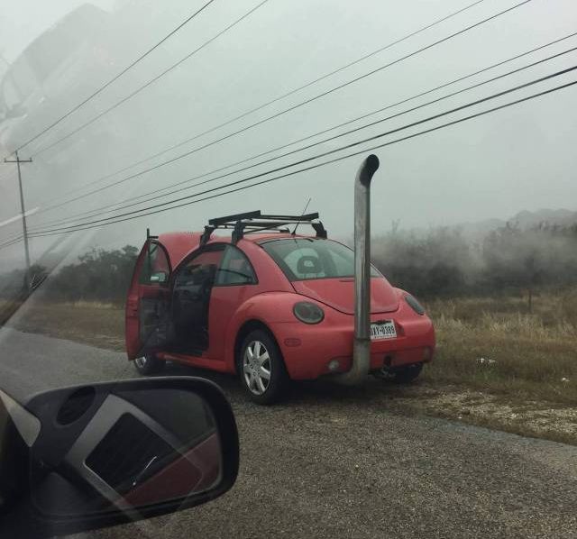 Daily Pictures. Part 1 (64 pics)