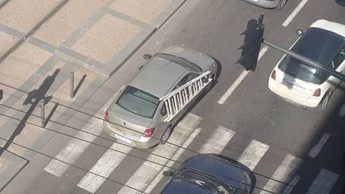 Daily Pictures. Part 1 (64 pics)