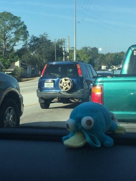 Daily Pictures. Part 1 (64 pics)