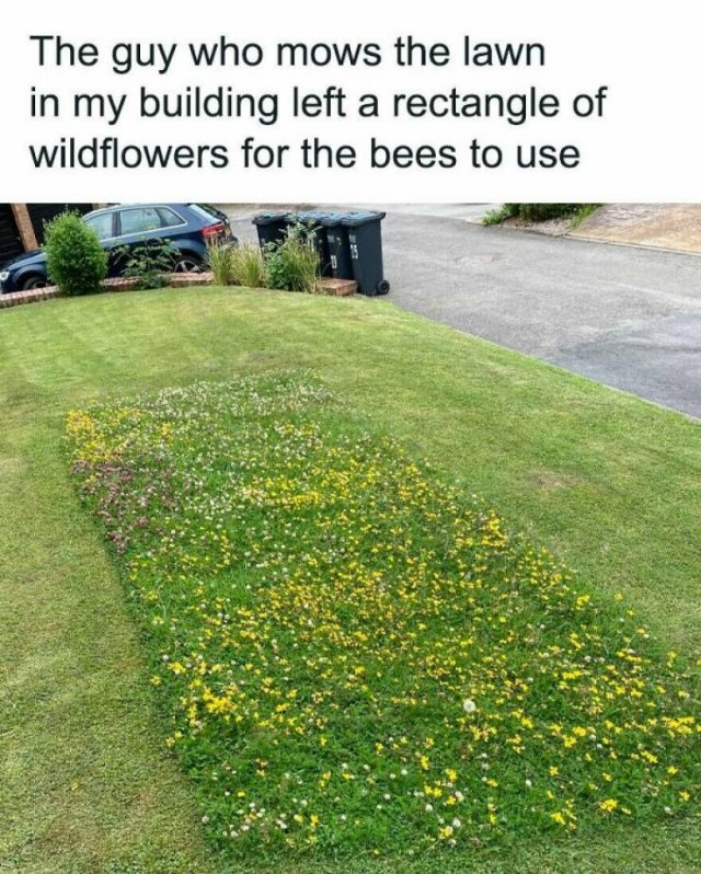 Daily Pictures. Part 2 (62 pics) Daily Pictures. Part 2 (62 pics)