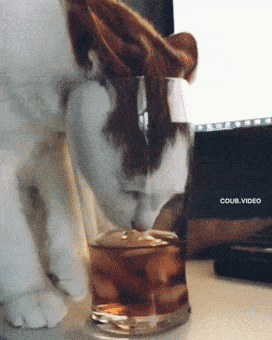 Acid GIFs, November 4 (25 gifs)
