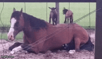 Acid GIFs, November 4 (25 gifs)