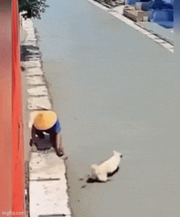 Acid GIFs, November 4 (25 gifs)