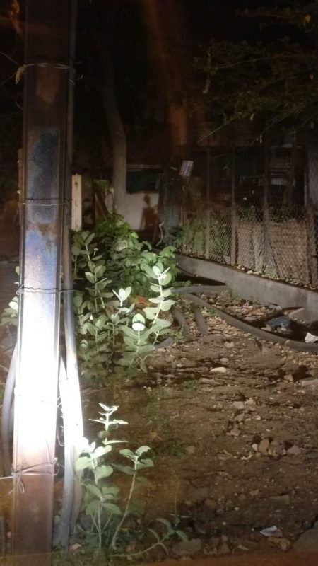 Hilarious Shadows (24 pics)