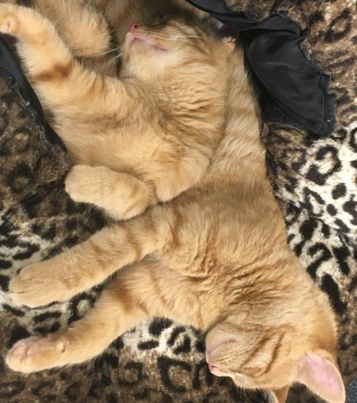 Optical Illusions (15 pics)