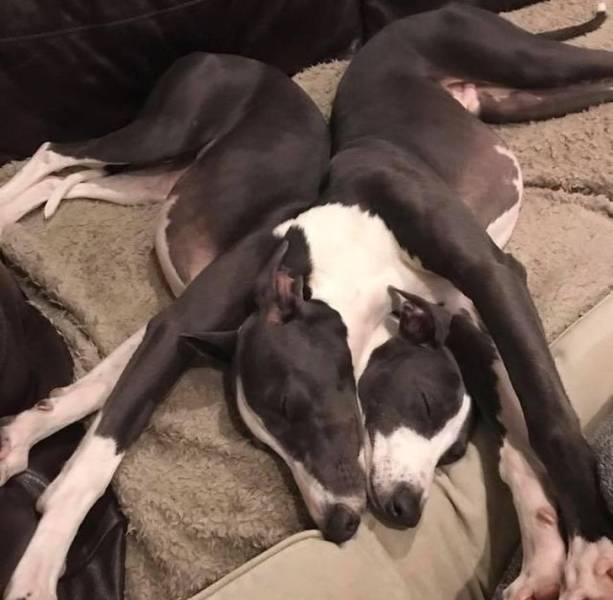 Optical Illusions (15 pics)