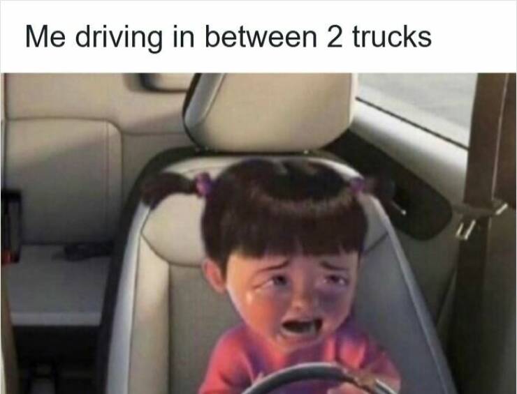 Memes For Drivers (22 pics)