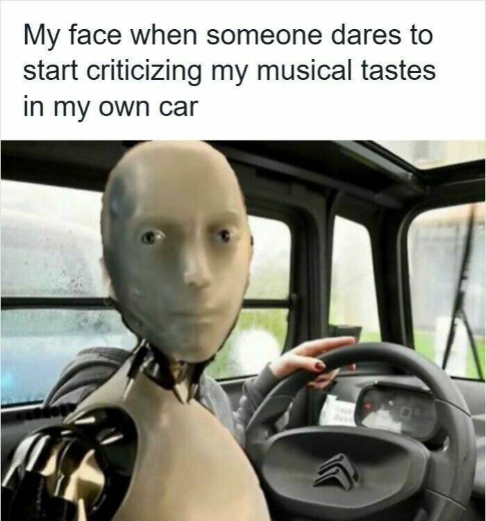 Memes For Drivers (22 pics)