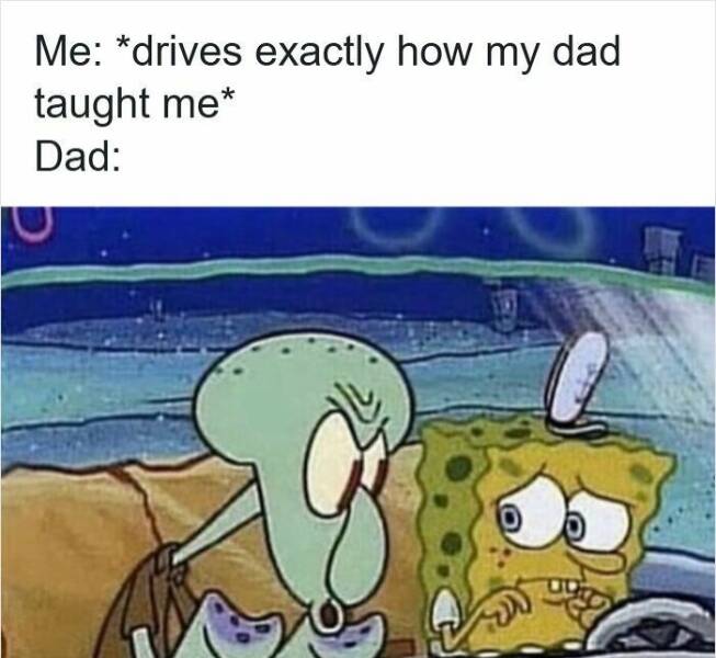 Memes For Drivers (22 pics)