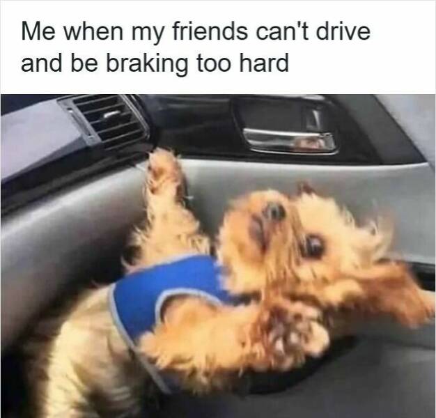 Memes For Drivers (22 pics)