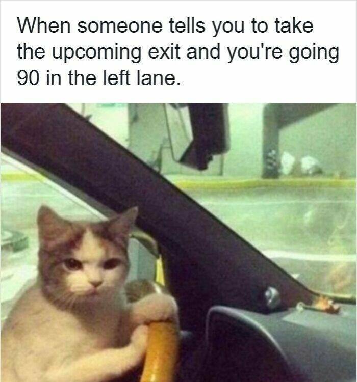 Memes For Drivers (22 pics)