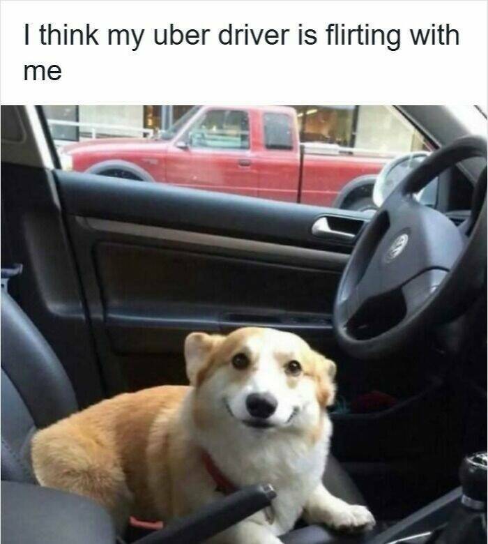 Memes For Drivers (22 pics)
