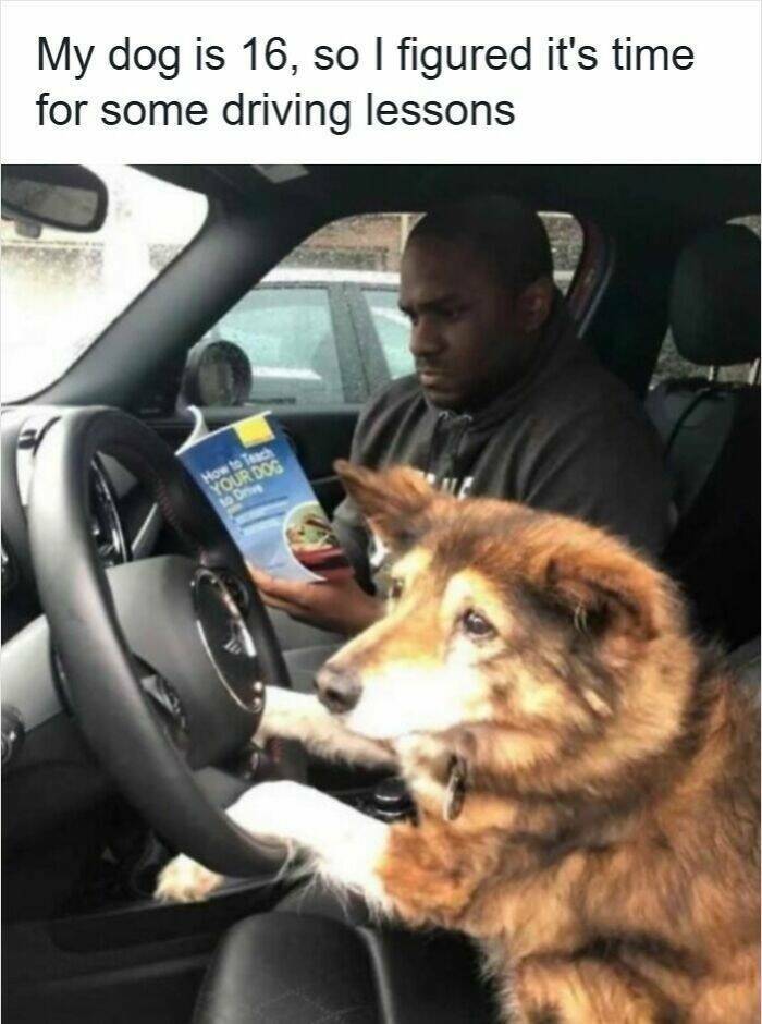 Memes For Drivers (22 pics)