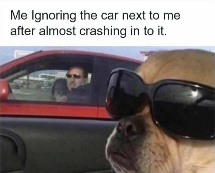 Memes For Drivers (22 pics)