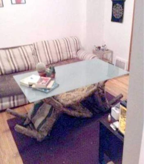 Weird DIY Crafts (33 pics)