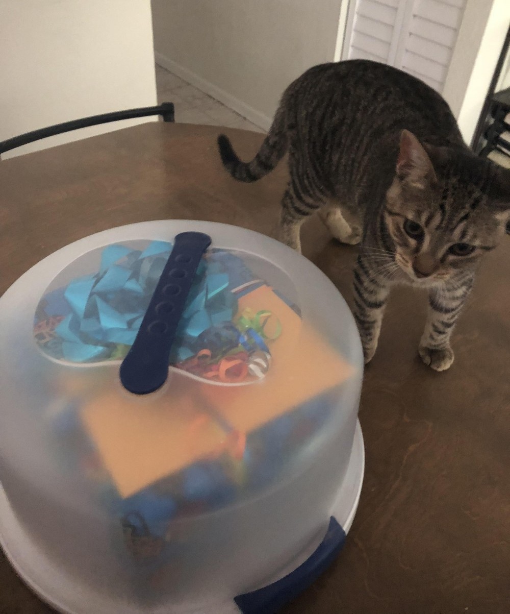 Redneck Inventions And Repairs (33 pics) Redneck Inventions And Repairs (33 pics)