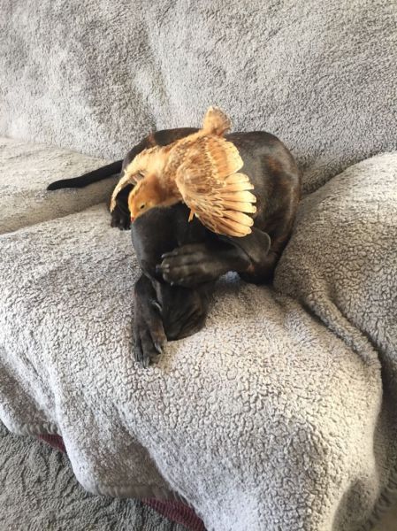 Daily Pictures. Part 1 (66 pics)