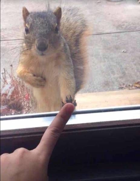 Daily Pictures. Part 1 (66 pics)