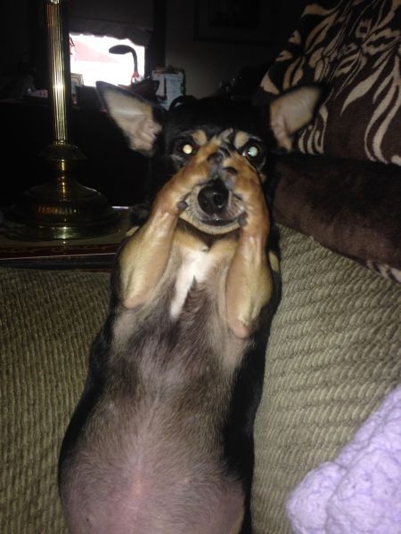 Daily Pictures. Part 1 (66 pics)