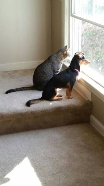 Daily Pictures. Part 1 (66 pics)