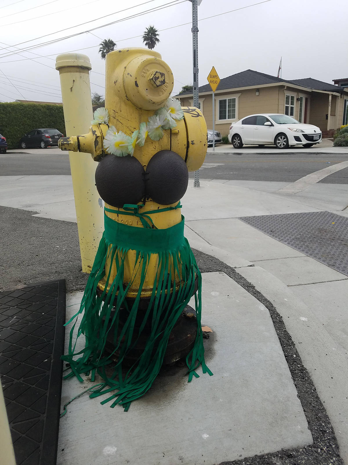 Daily Pictures. Part 1 (66 pics)