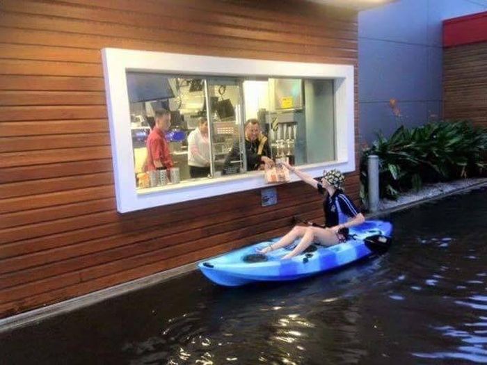 Daily Pictures. Part 1 (66 pics)