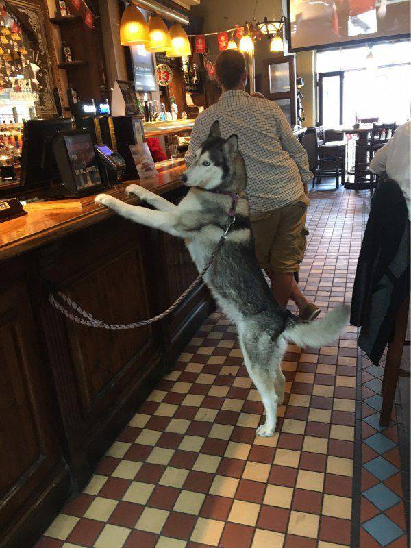 Daily Pictures. Part 2 (65 pics)