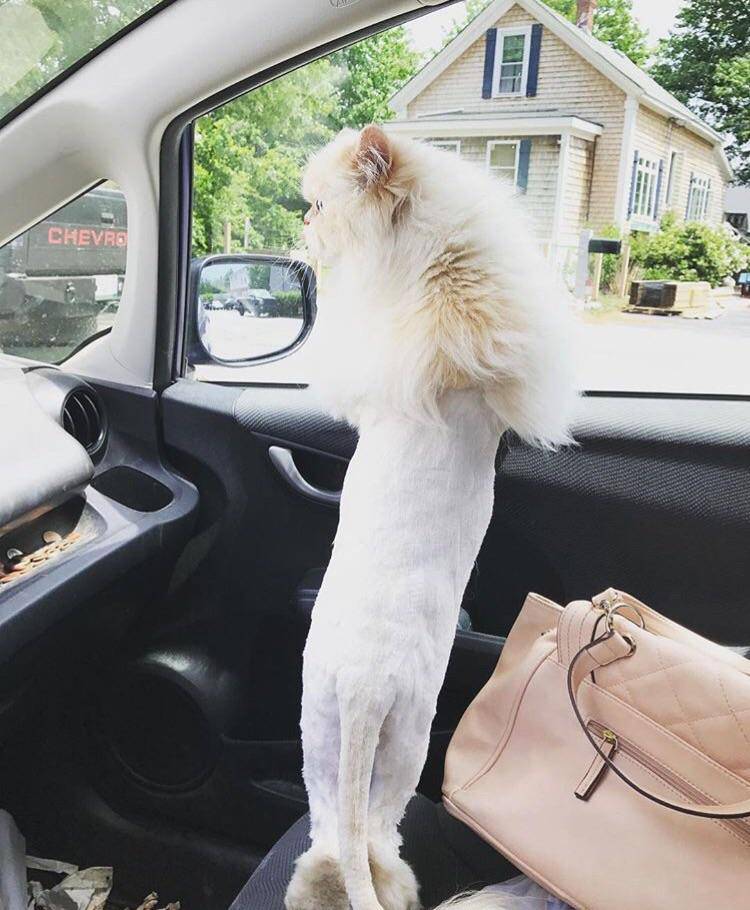 Daily Pictures. Part 1 (66 pics)