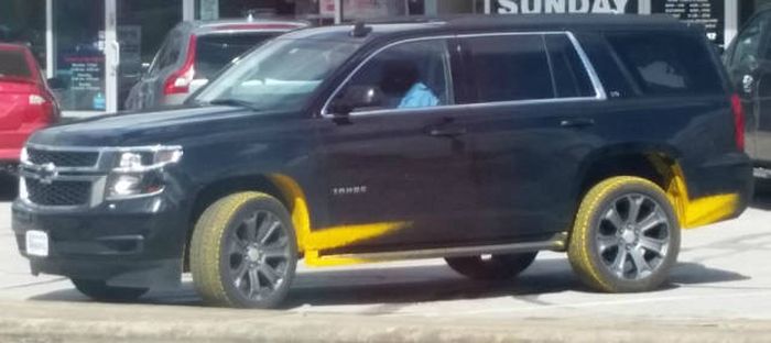 Daily Pictures. Part 1 (66 pics)