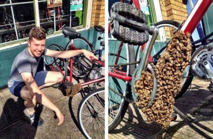 Daily Pictures. Part 2 (65 pics)