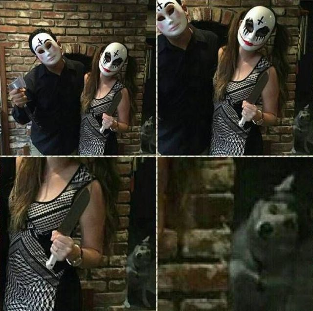 Daily Pictures. Part 2 (65 pics)